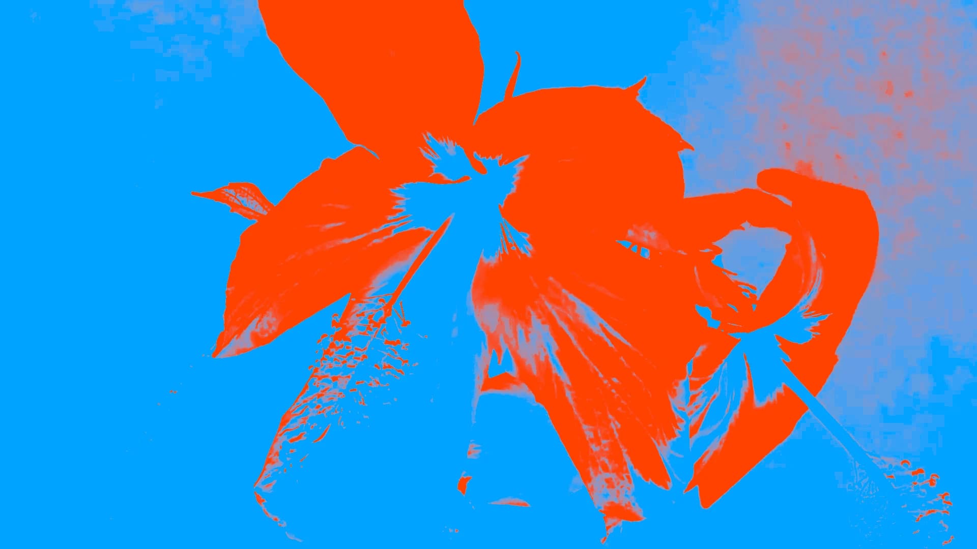 ALTER MIGO background